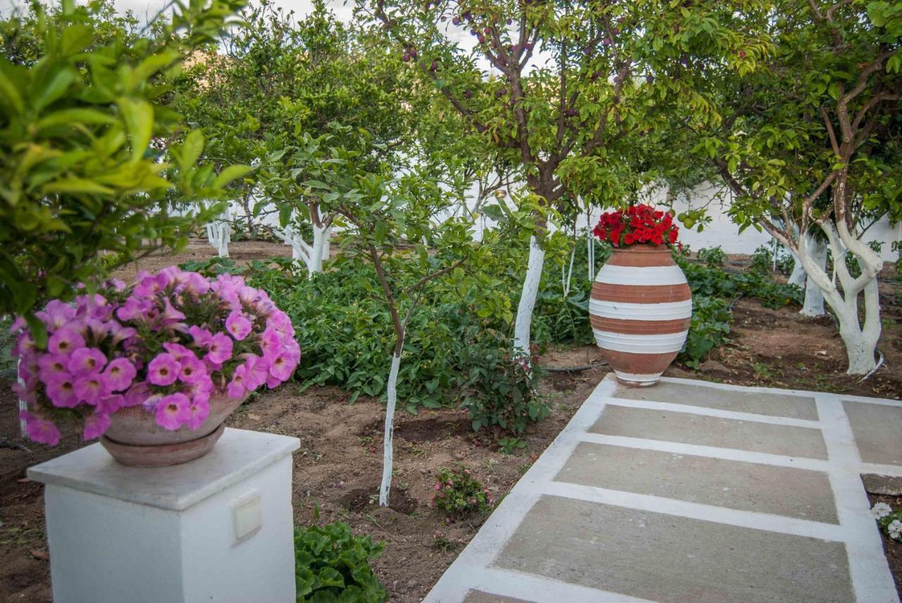 Perivoli 3-Chora Apartment Agkidia Exterior photo